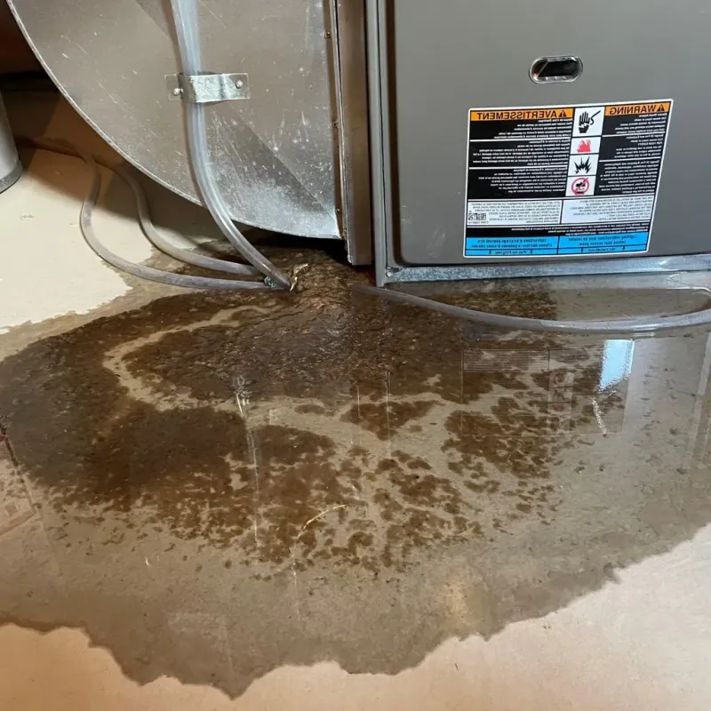 Pipe Burst and Leak Restoration in Nambe, NM
